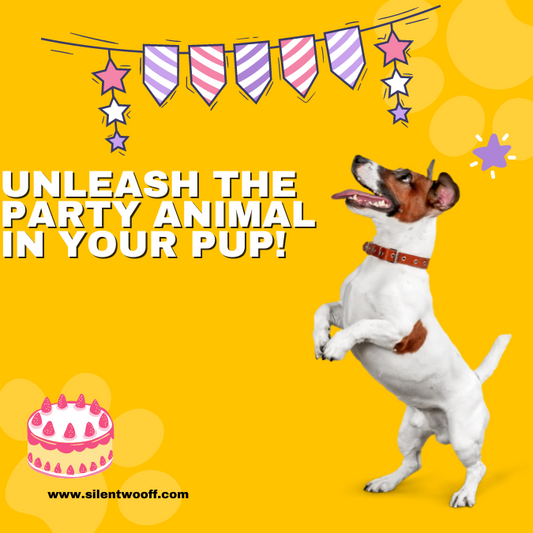 Get Your Pup a Party Passport!